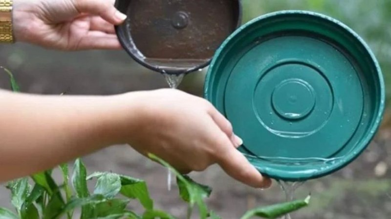 Luego de la lluvia, recordá las acciones para prevenir el dengue