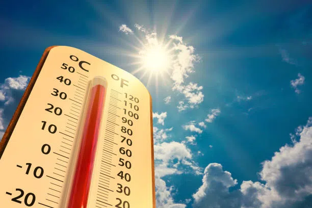 Golpes de calor: ¿Cómo evitarlos?