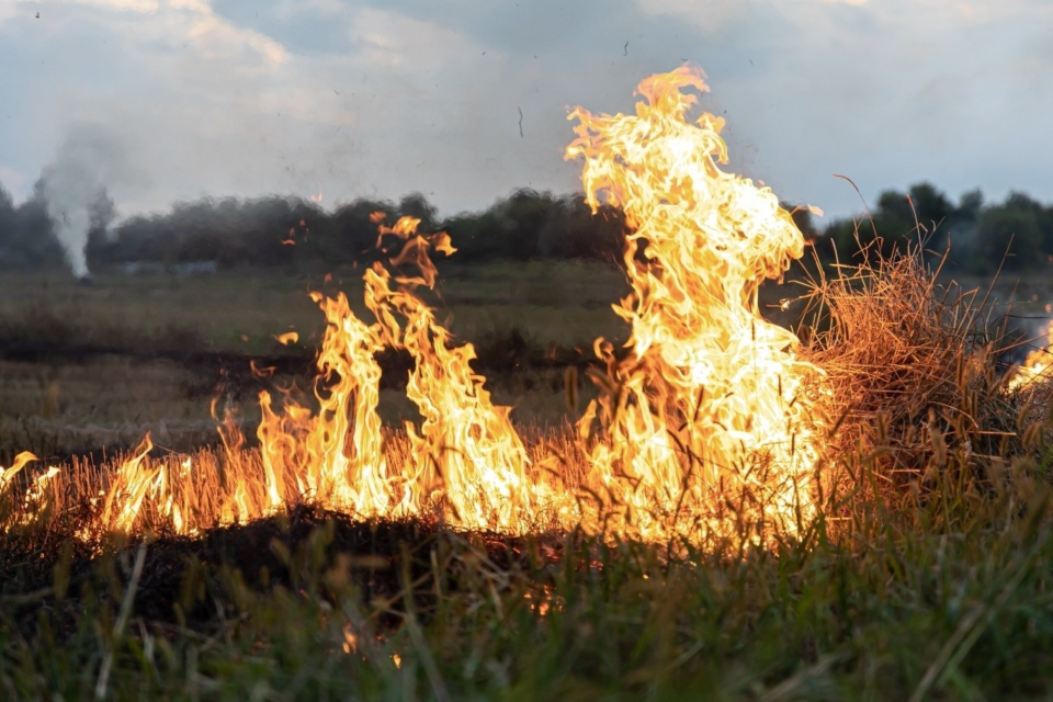 Recomendaciones para prevenir incendios