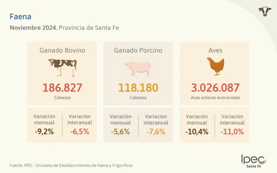 Faena  Provincia de Santa Fe – Noviembre 2024