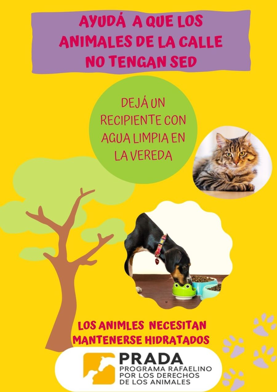 Recomendaciones para evitar golpes de calor en los animales