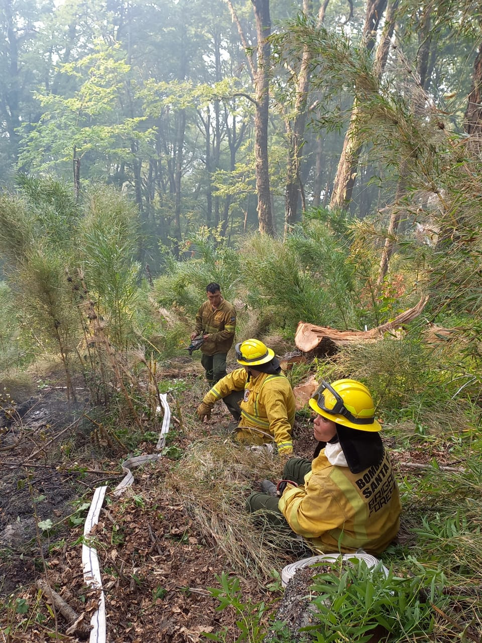 Intenso trabajo de brigadistas santafesinos en el combate de incendios en la Patagonia