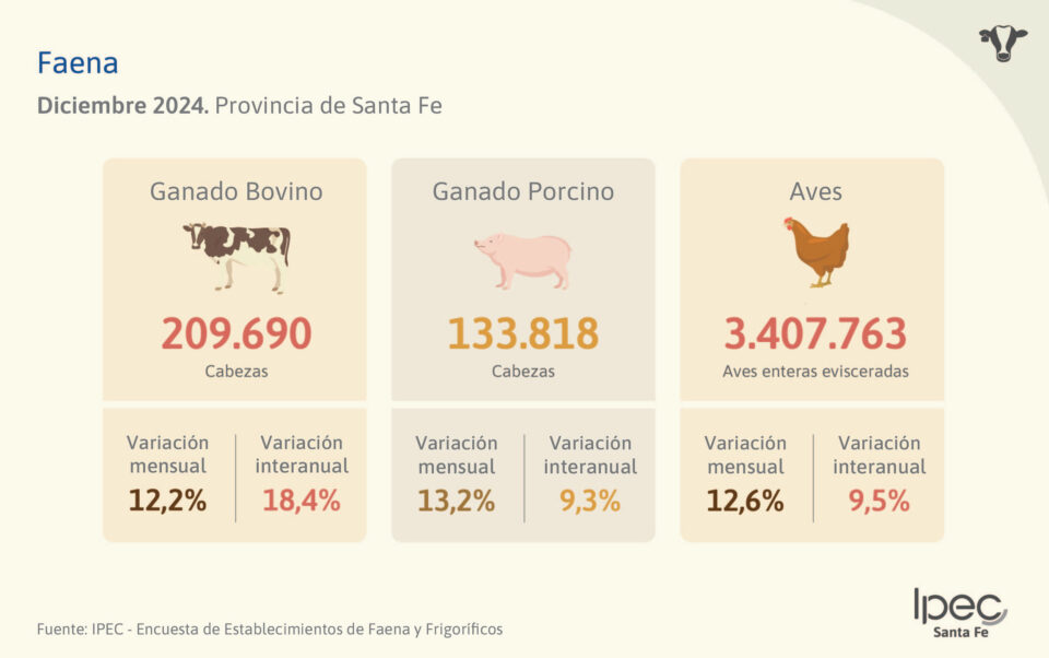 Faena – Provincia de Santa Fe  Diciembre 2024
