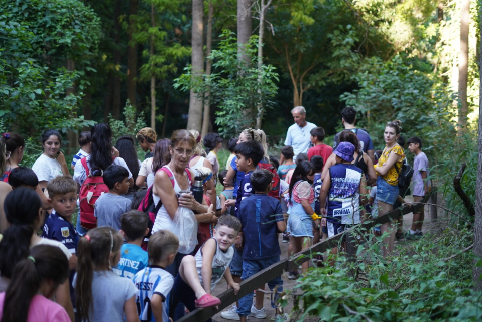 Música, feria, arte y naturaleza para disfrutar en el Bosquecito