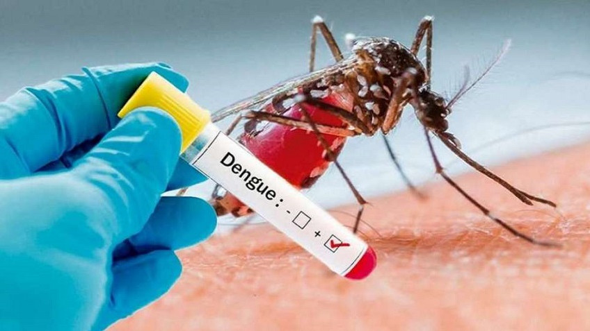 Dengue: Provincia recuerda las recomendaciones para viajeros por el fin de semana largo