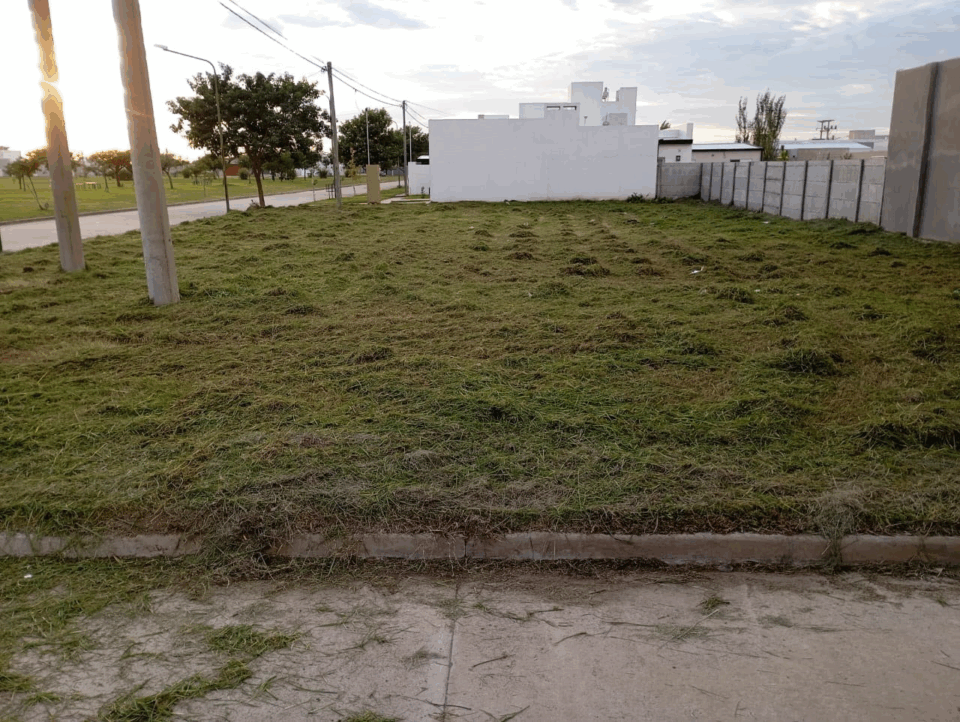 Cuidamos la ciudad entre todos: operativo récord de limpieza en terrenos baldíos