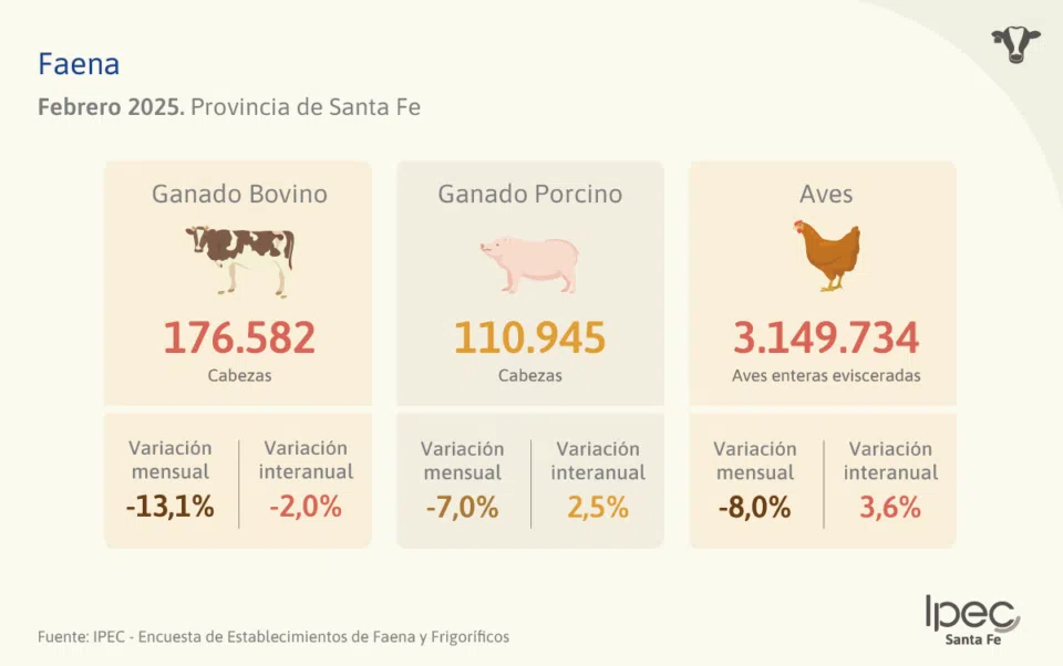 Faena – Provincia de Santa Fe  Febrero 2025