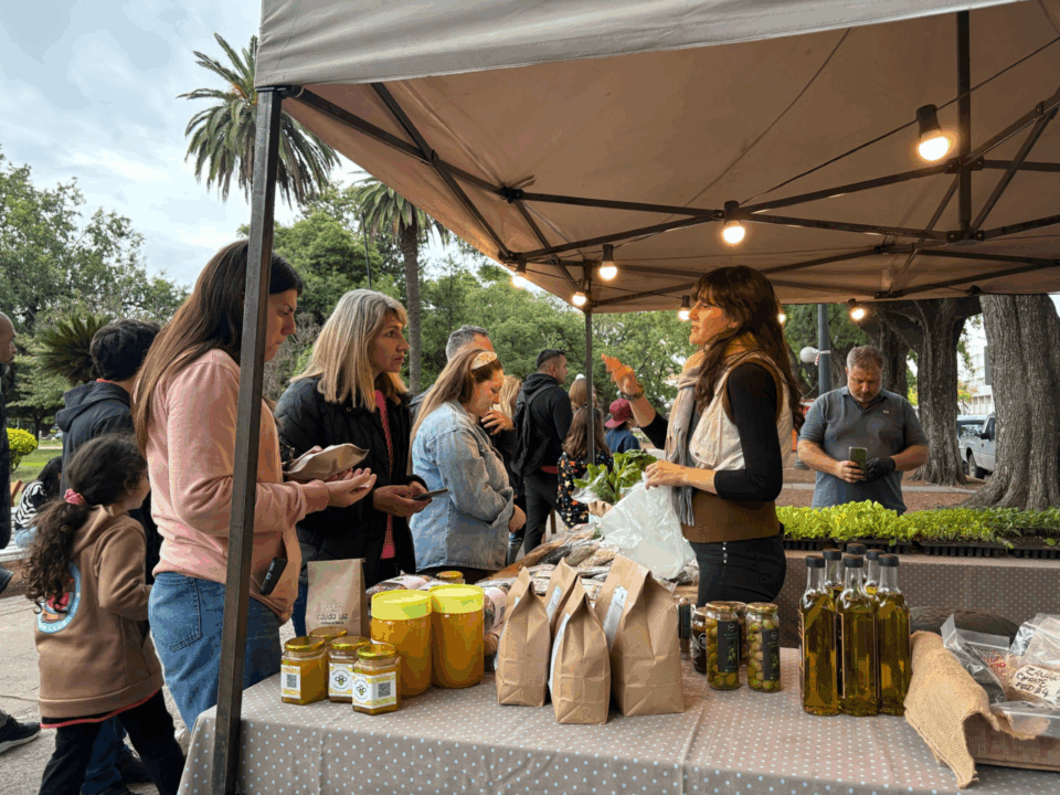 Domingo de “Feria Desde el Origen”