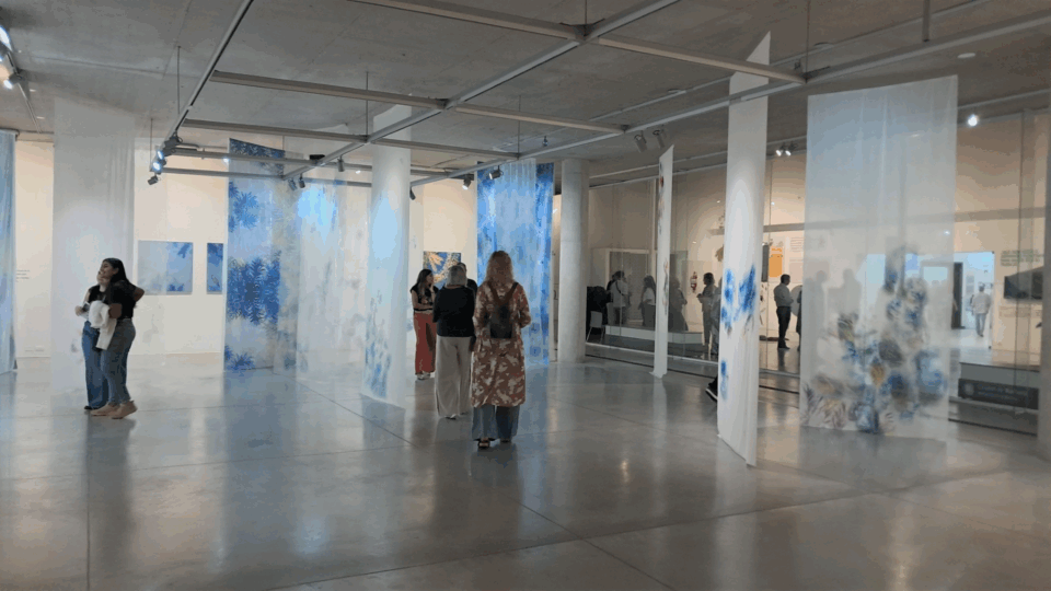 Vuelve «Paseo Museos»