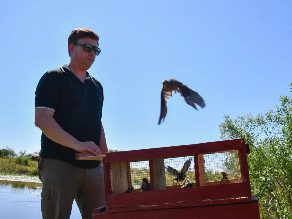 Biodiversidad: Provincia liberó fauna silvestre rehabilitada en el norte santafesino