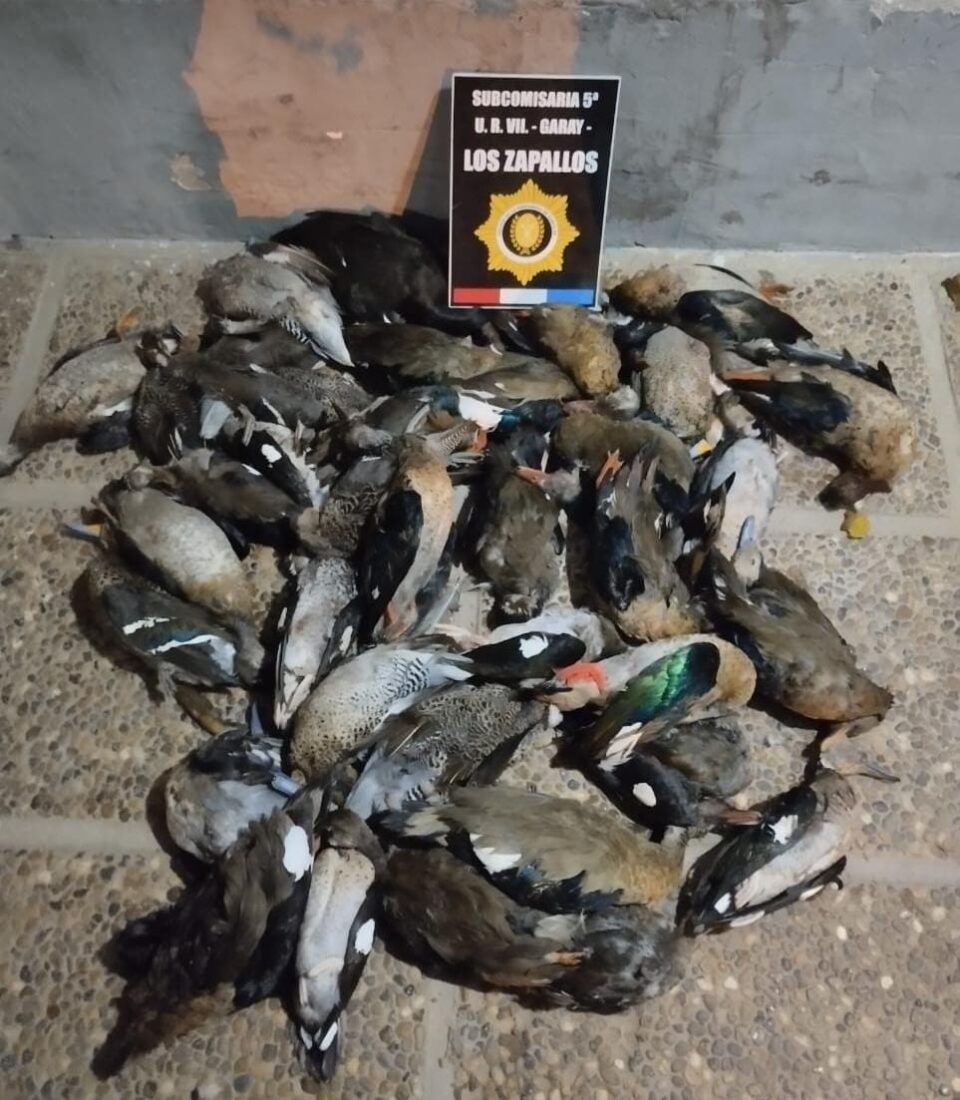 IDENTIFICARON A UN HOMBRE POR INFRACCIÓN A LA LEY DE CAZA EN ZONA RIBEREÑA DE LOS ZAPALLOS