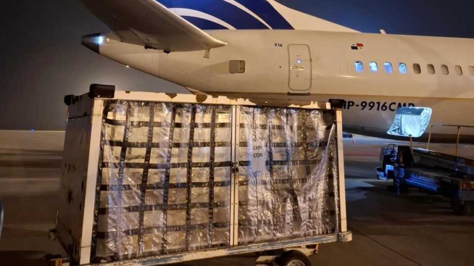 Desde Rosario ya se exporta carne y pescado por vía aérea: un hito logístico que posiciona al aeropuerto como plataforma internacional