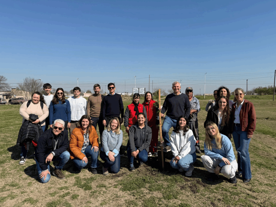 Compromiso empresarial con el arbolado urbano