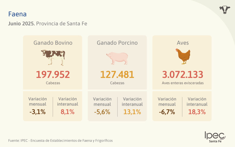 Faena  Provincia de Santa Fe – Junio 2025