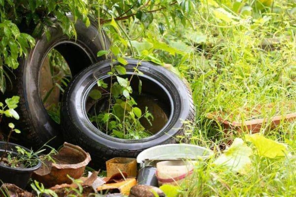 El Municipio recuerda medidas preventivas para evitar el dengue