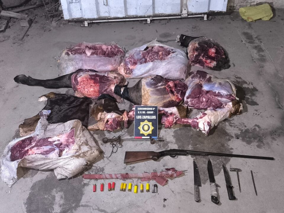 SECUESTRARON ARMAS Y TRASLADARON A DOS PERSONAS POR ABIGEATO