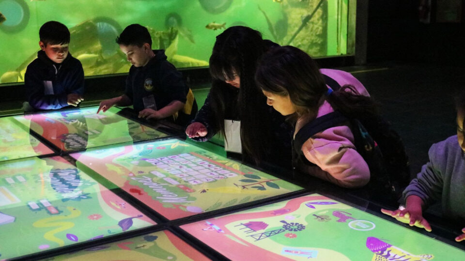 El Acuario del Río Paraná abre la convocatoria 2026 para visitas educativas