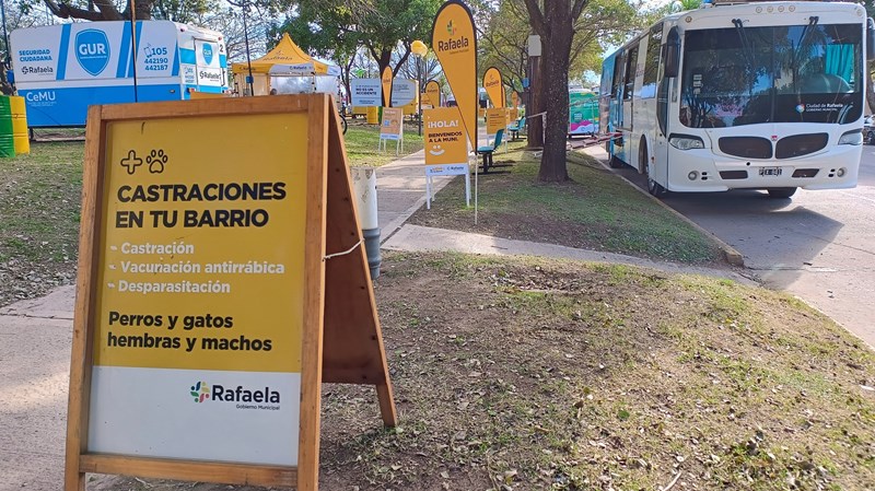 Día del Animal: jornada especial de «Castraciones en tu Barrio» con horario extendido