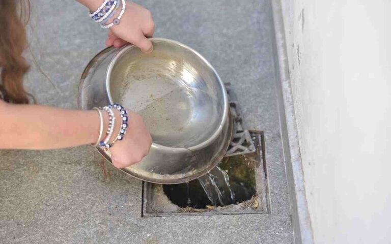 Después de la lluvia, tené en cuenta estas recomendaciones para prevenir el dengue