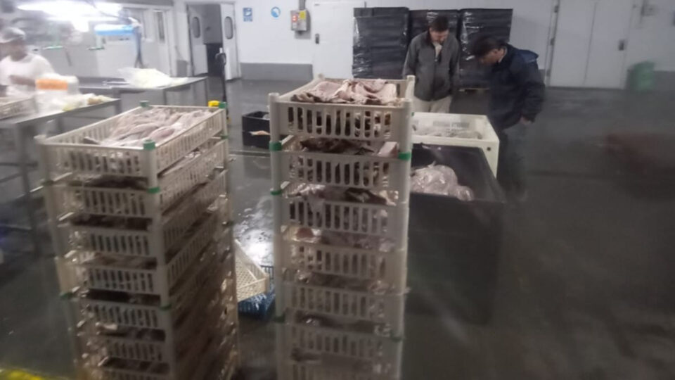 Ambiente reforzó controles para Semana Santa y sancionó a dos frigoríficos pesqueros