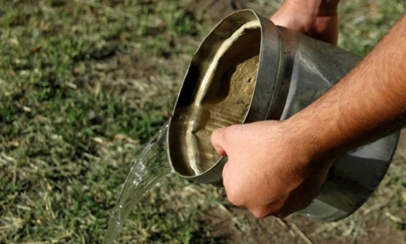 Después de la lluvia, tené en cuenta estas recomendaciones para prevenir el dengue