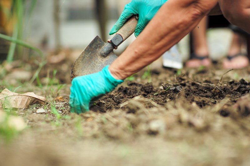 La Escuela Municipal de Jardinería y Agroecología abre sus inscripciones