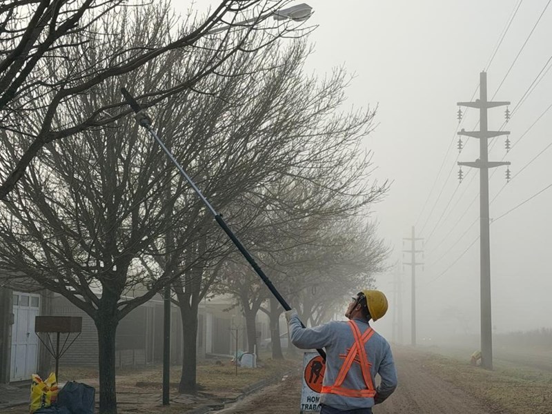 El Municipio puso en marcha el plan de poda y mantenimiento del arbolado urbano
