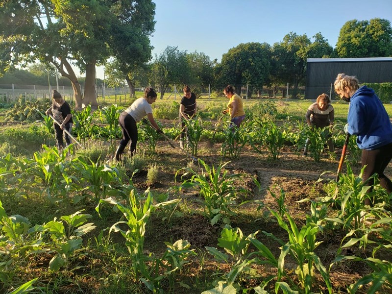 La Escuela Municipal de Jardinería y Agroecología suma formaciones