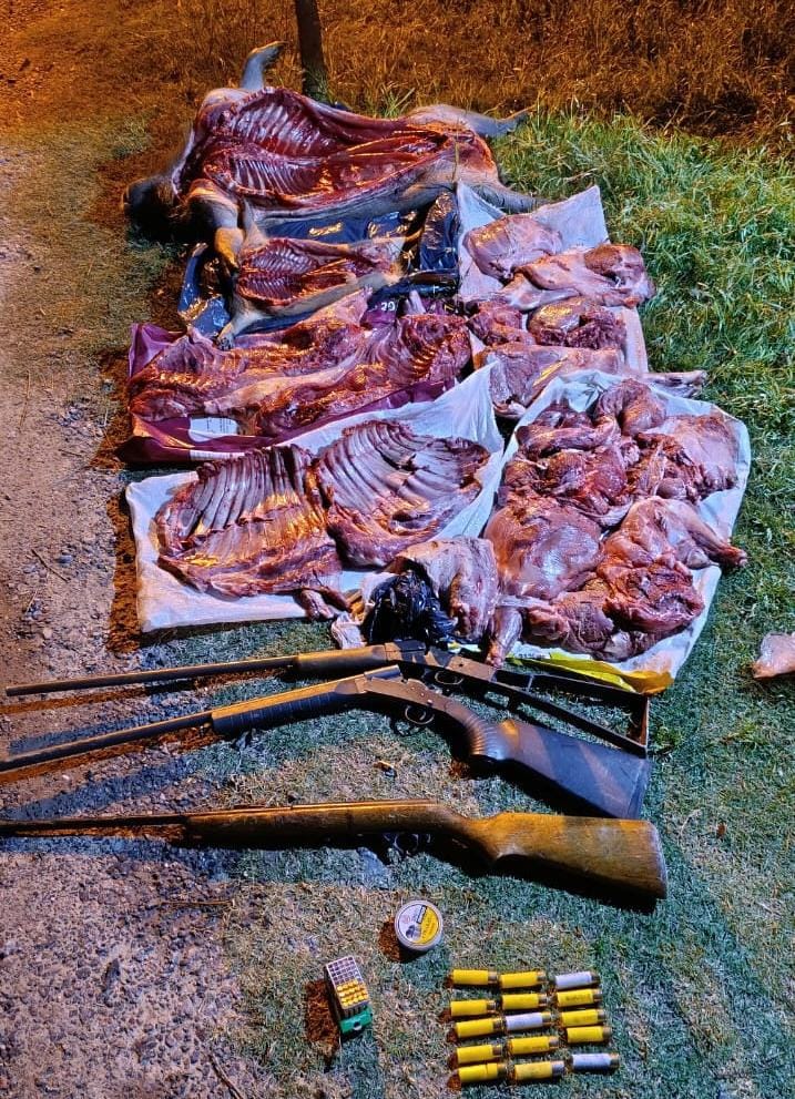 VARIOS HECHOS POLICIALES Y ACCIDENTES EN RAFAELA Y LA PROVINCIA