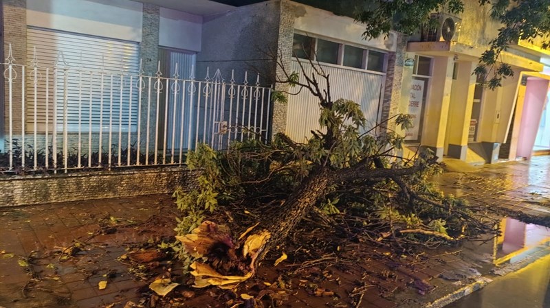 Rápida respuesta municipal ante las consecuencias de la tormenta